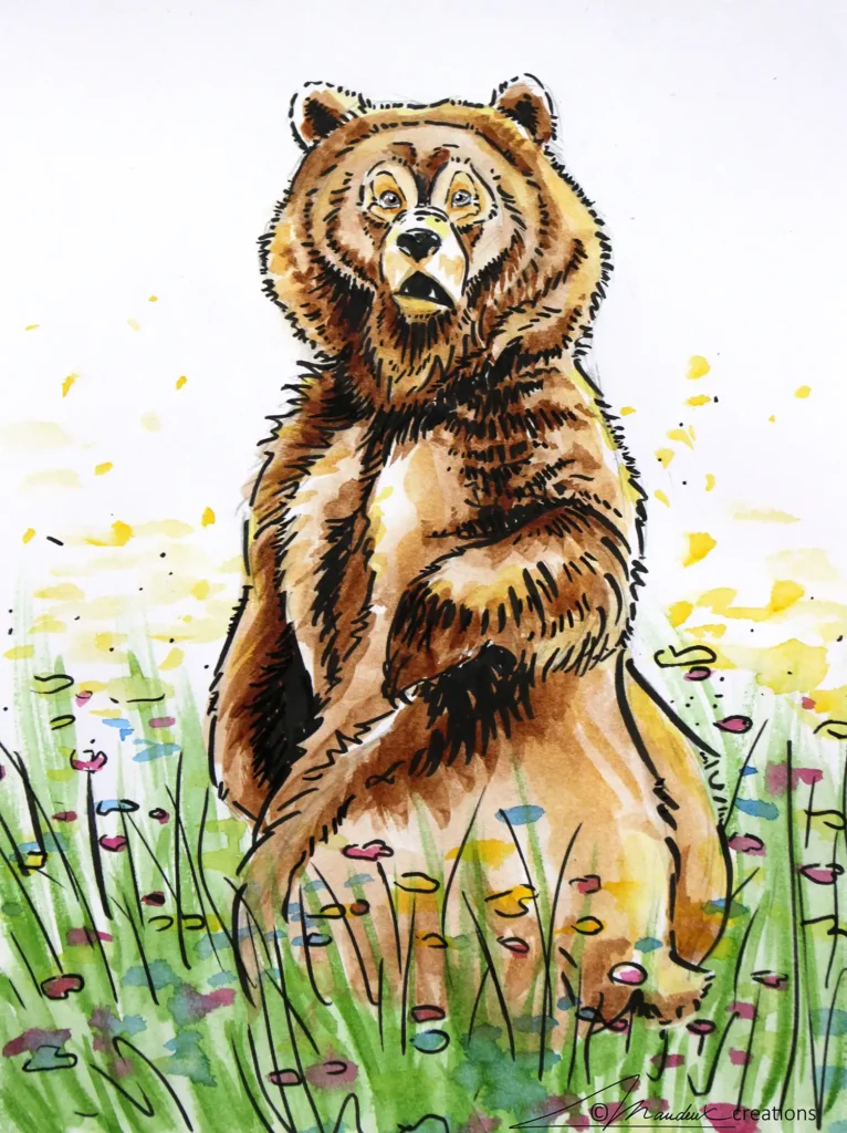 Watercolour and ink drawing of a surprised brown bear turning round