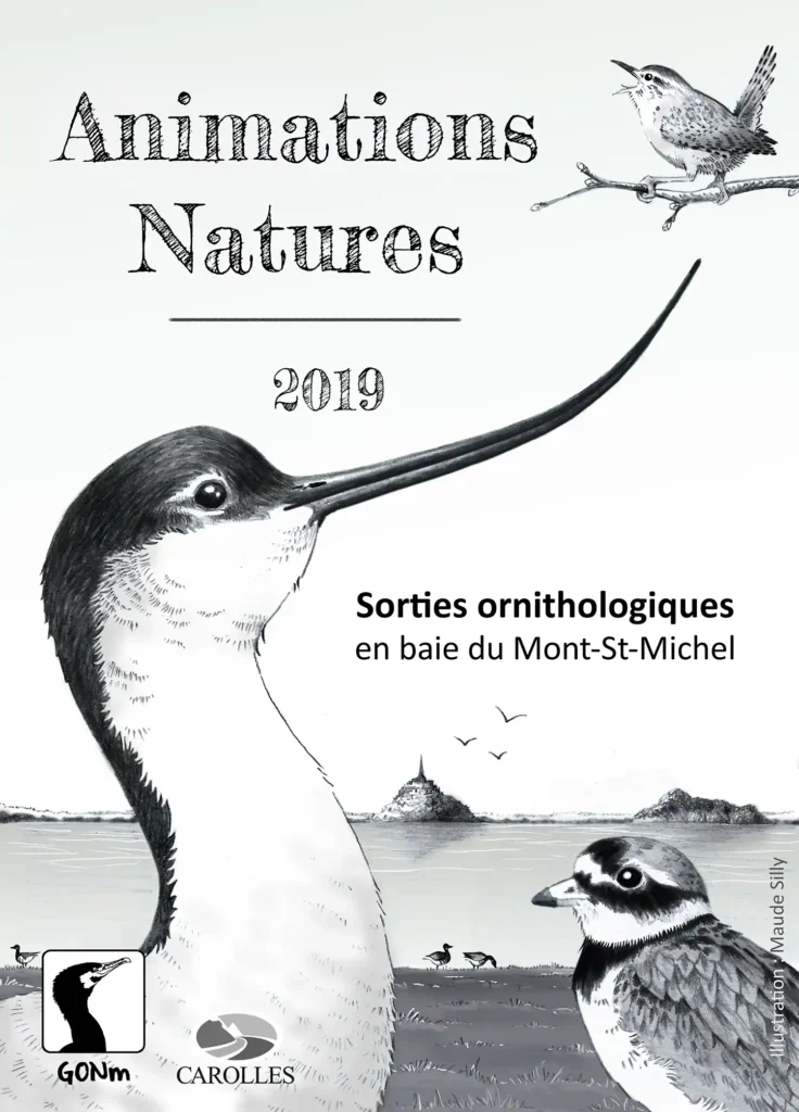 Poster for a brochure produced for the Groupe Ornithologique Normand association, with digital illustrations showing an avocet, a common ringed plover, brant geese and the Bay of Mont-Saint-Michel in the background.