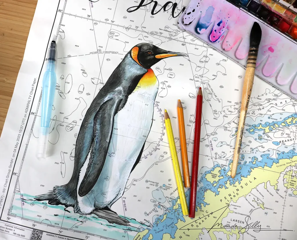 King penguin painted on a Scotia Sea chart (Antarctica)