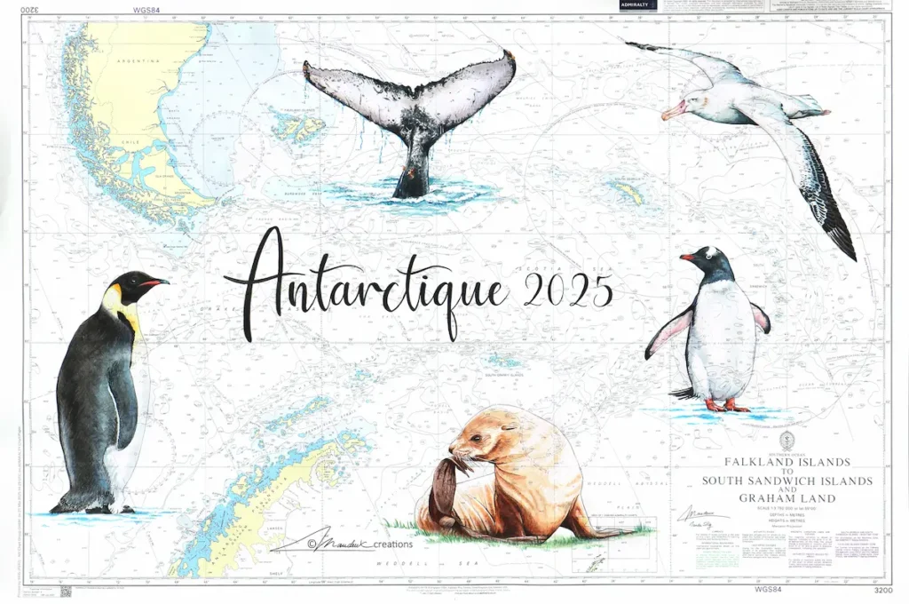 Carte marine de l'Antarctique montrant une queue de baleine à bosse, un albatross hurleur, un manchot papou, un manchot empereur et une otarie à fourrure antarctique isabelle peints à l'aquarelle.