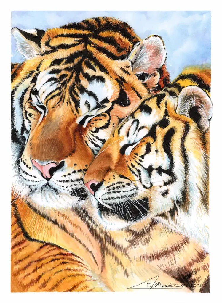 Aquarelle réaliste représentant un couple de tigre qui se câline