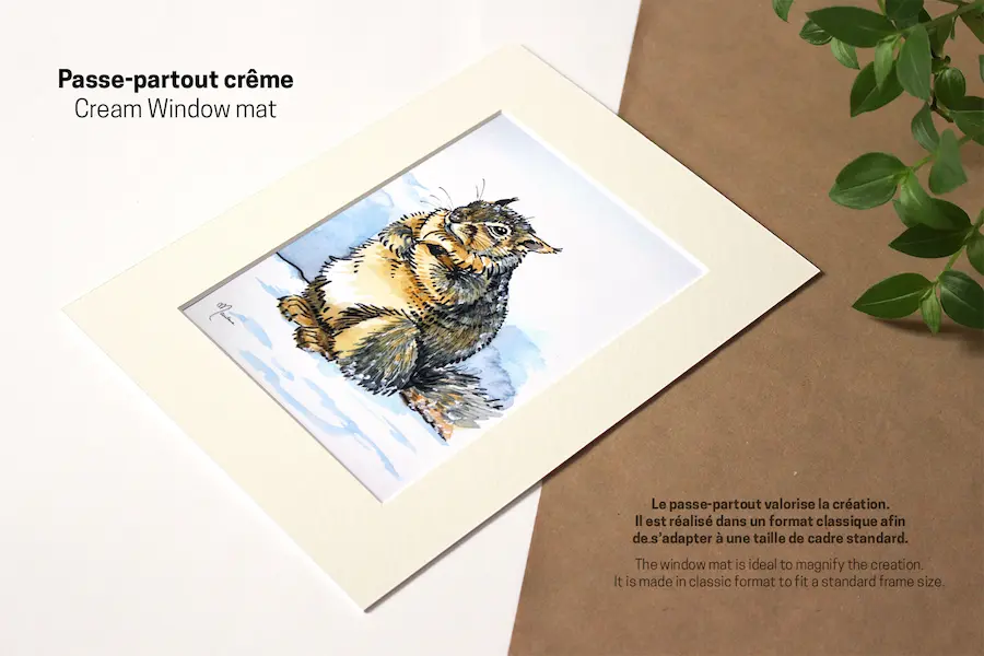 Photo illustrant l'utilisation du passe-partout pour mettre en valeur une illustration.